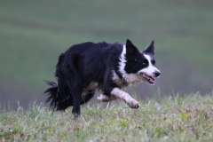 Inola vom Preussischhof